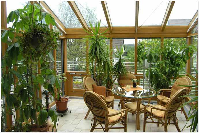 庭院种什么花较旺宅？周易风水算命