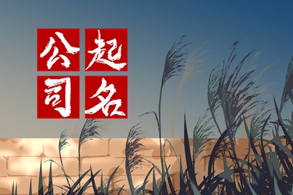 洋气的公司名字大全集：高大上洋气好听的公司名