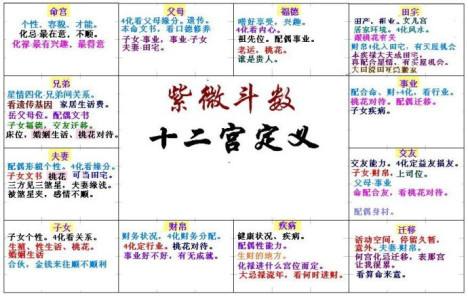 兄弟宫巨门看另一半：紫薇斗数算命父母会很强势