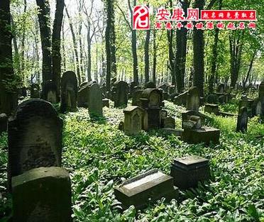 老人梦见坟墓是什么意思啊 梦见坟墓堆是什么征兆